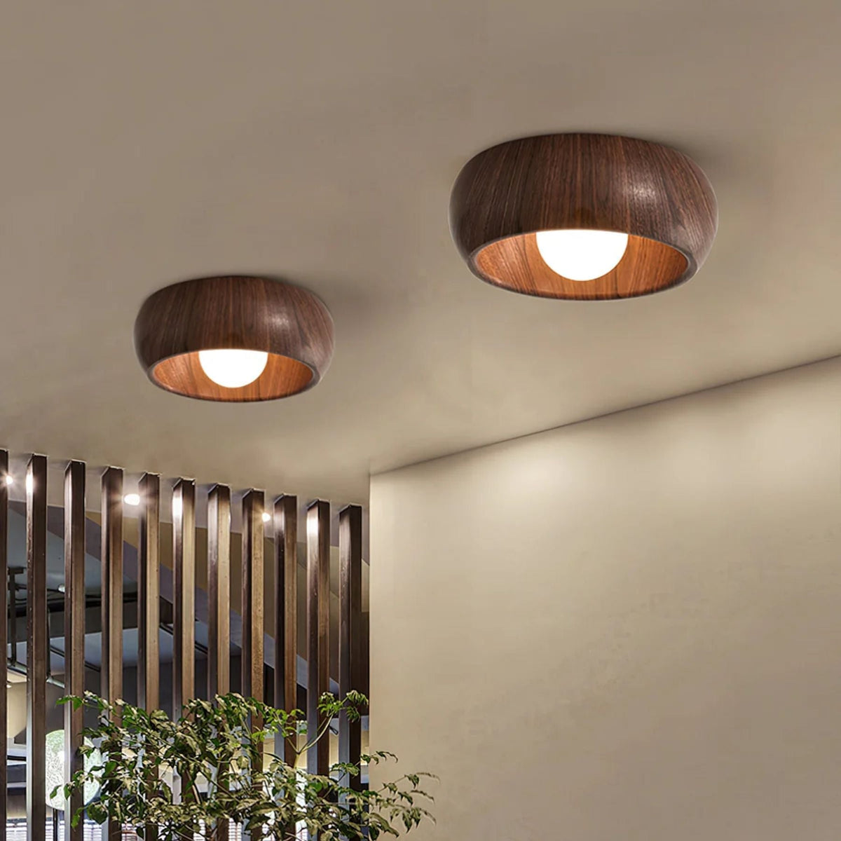Albanora Ceiling Lamp — product detail view 5