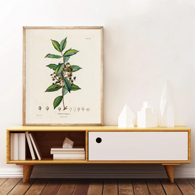 Ainsley French Botanical Art Prints