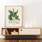 Ainsley French Botanical Art Prints