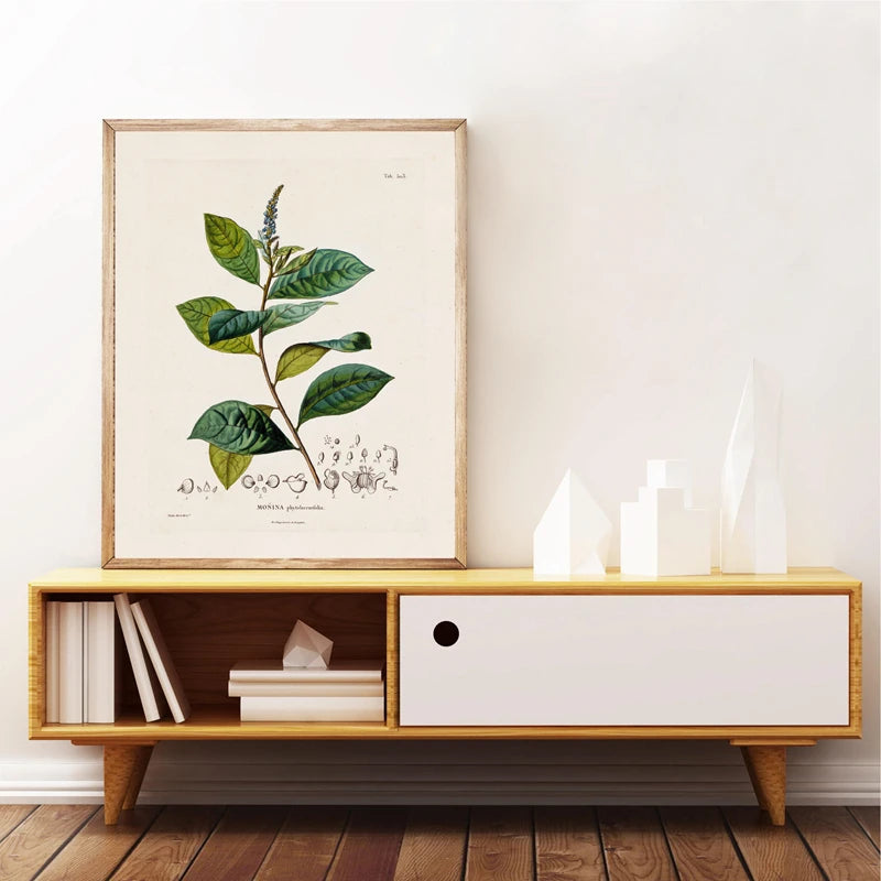 Ainsley French Botanical Art Prints