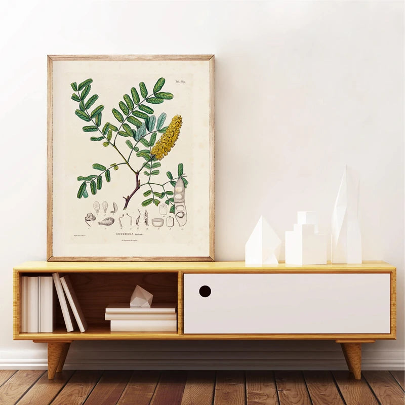 Ainsley French Botanical Art Prints
