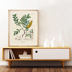 Ainsley French Botanical Art Prints