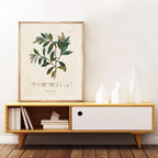 Ainsley French Botanical Art Prints