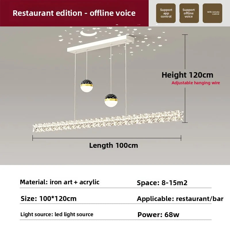 Ellipse Ceiling Light