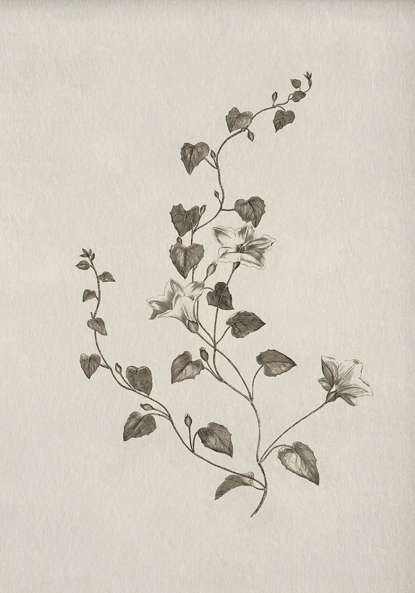 Florence Botanical Blossom Prints