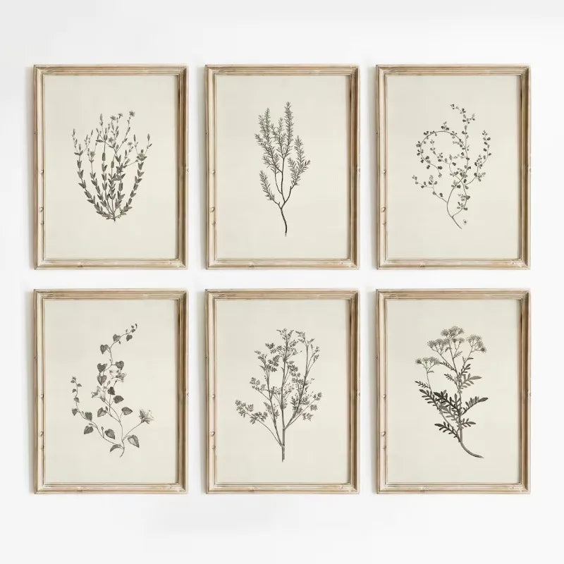 Florence Botanical Blossom Prints