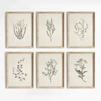 Florence Botanical Blossom Prints