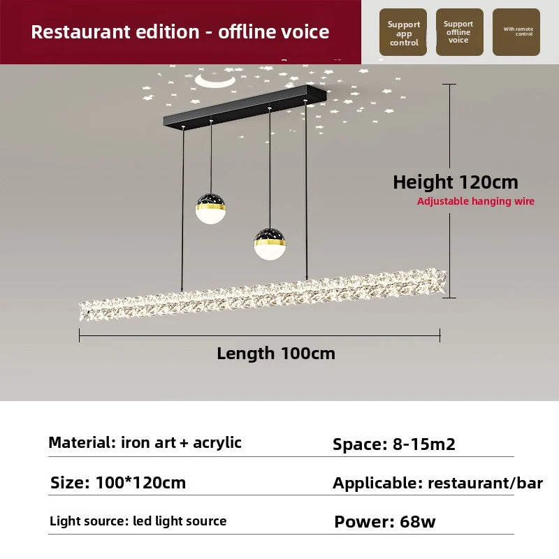 Ellipse Ceiling Light