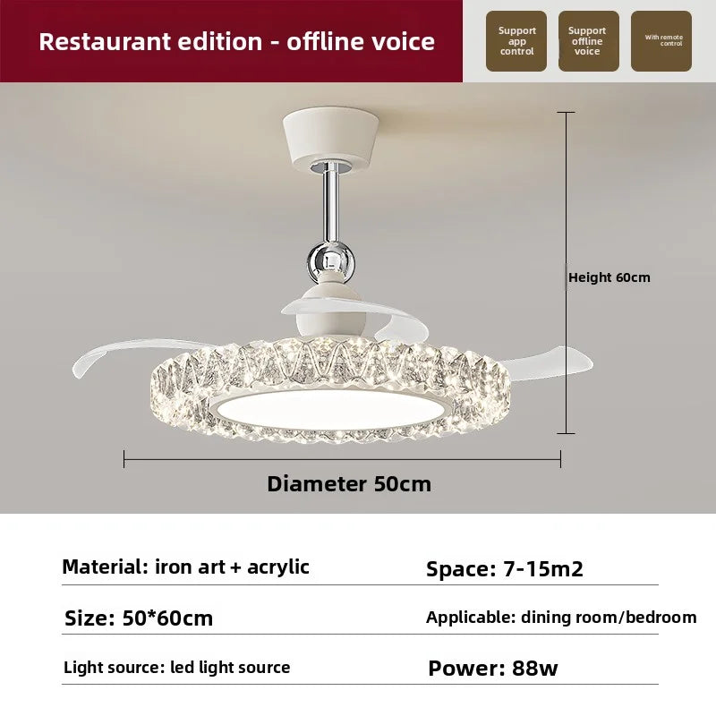 Ellipse Ceiling Light