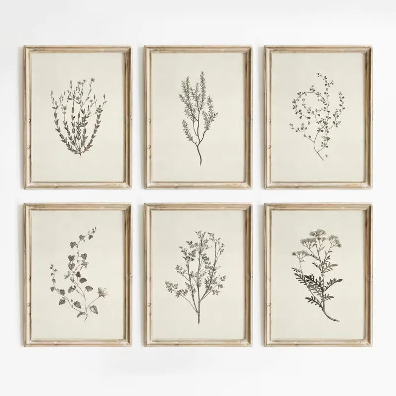 Florence Botanical Blossom Prints