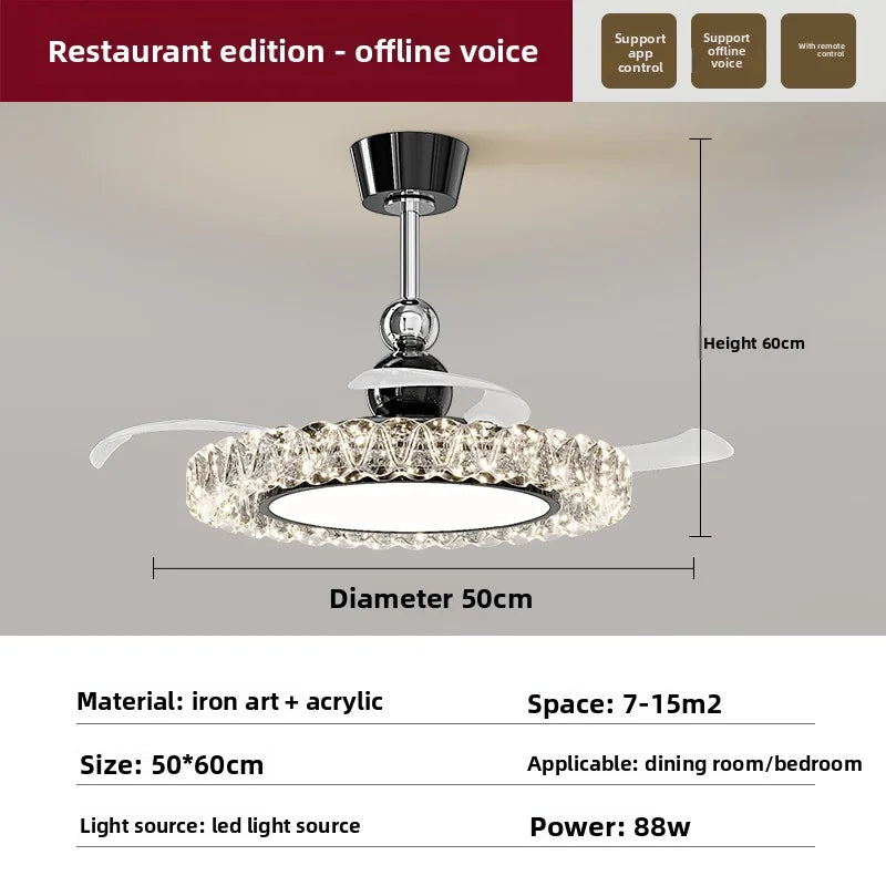 Ellipse Ceiling Light