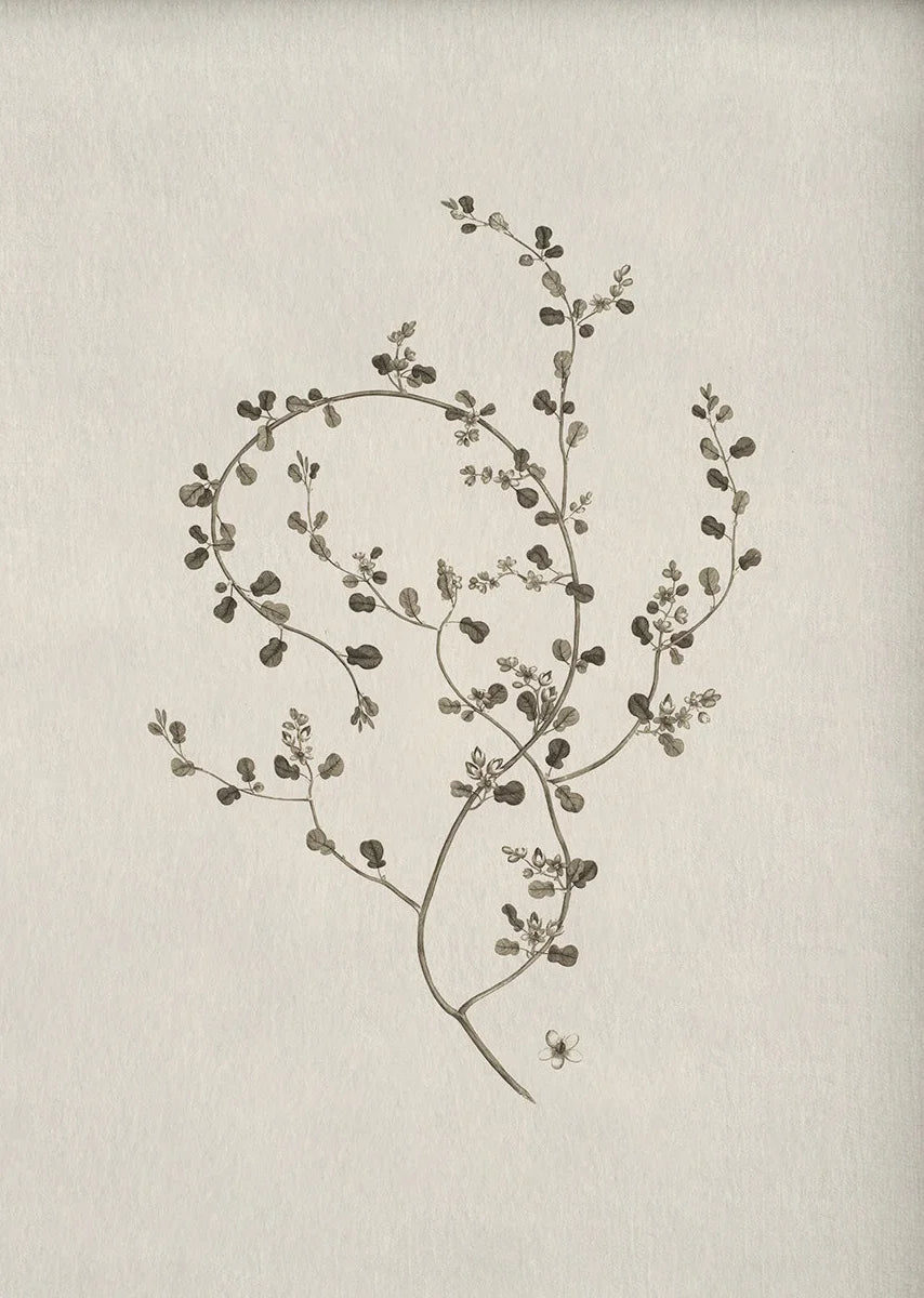 Florence Botanical Blossom Prints