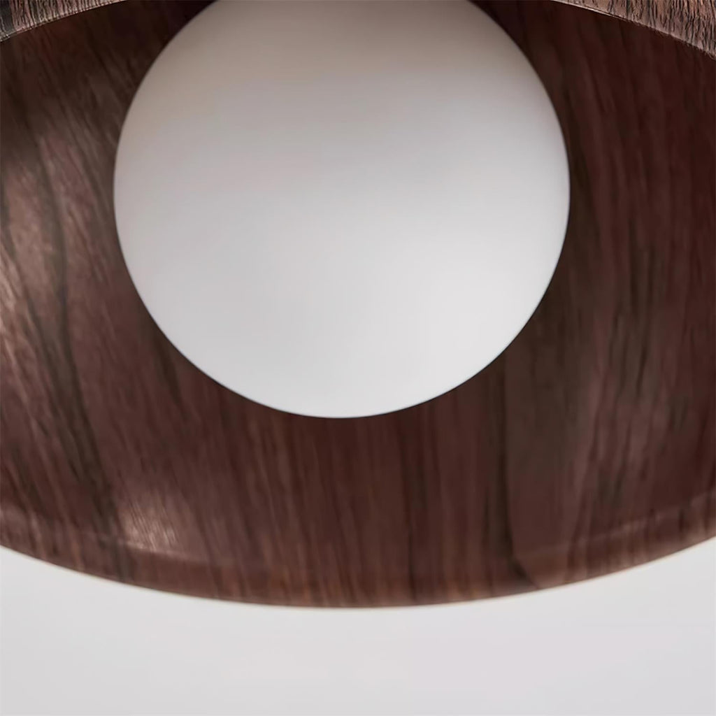 Albanora Ceiling Lamp — product detail view 11